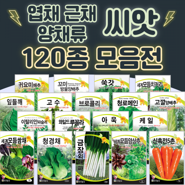채소씨앗 / 공심채 루꼴라 케일 고수 깻잎 브로콜리 청경채 시금치 치커리 쑥갓 종자, 116. 금장외대파 2000립