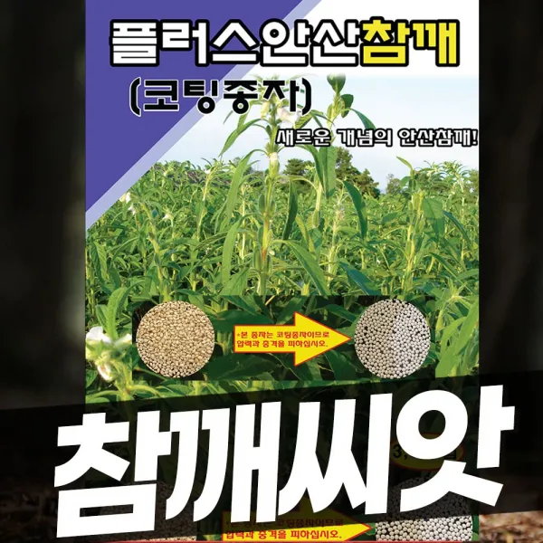 참깨씨앗 코팅종자 흑깨씨앗 안산 황금 태강, 플런스안산참깨3000립