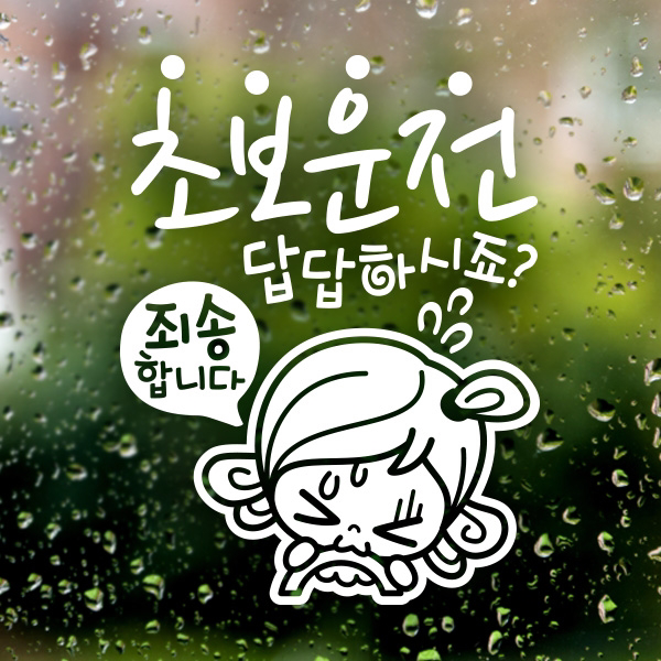 초보답답 초순이 / 자동차스티커 초보운전 반사스티커, 화이트