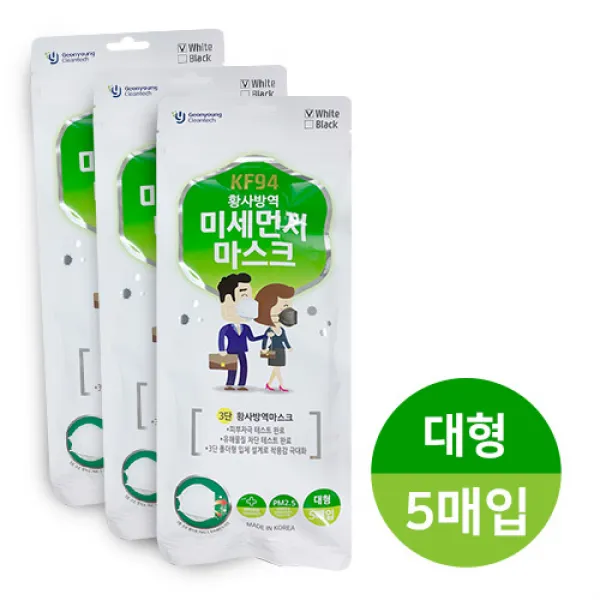 건영크린텍 KF94 황사방역 미세먼지 마스크 화이트(대형) 5매입, 1개