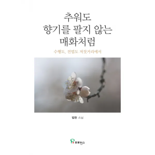 추워도 향기를 팔지 않는 매화처럼:수행도 전법도 저잣거리에서, 프로방스
