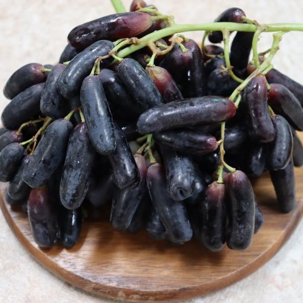 씨없는 수입 포도 블랙사파이어 가지포도 1kg 2kg, 1박스