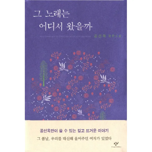 그 노래는 어디서 왔을까:공선옥 장편소설, 창비