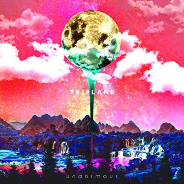 만장일치 단일옵션