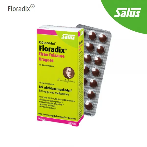 살루스 독일 철분 엽산 플로라딕스 Floradix 84정 독일직배송, 1박스