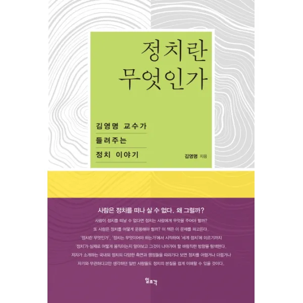 정치란 무엇인가:김영명 교수가 들려주는 정치 이야기 일조각