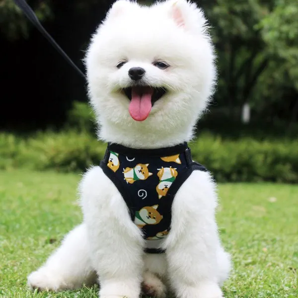 강아지용품 강아지 애견목줄 조끼스타일 소형견 포메라니안 리드줄 푸들 애완동물 개줄 여름 용품 T20 사각형 다크블루 강아지 패턴 1.5베이지 편승 C04 L10 14