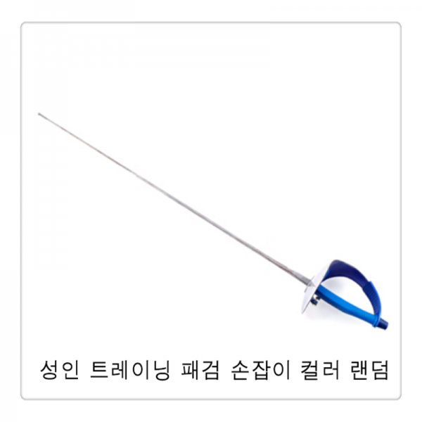 Teepie펜싱기구 직병총자 사브르 펜싱 플뢰레 중검 시범LG0101, 2