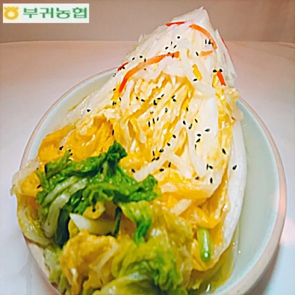 부귀농협 마이산김치 포기김치5kg+백김치2kg-국내산100% (2019년김치품평회.최우수상수상), 1개, 7kg