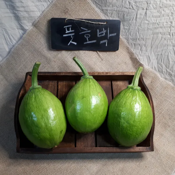 새벽들 신선한 둥근호박 풋호박, 1box, 5개
