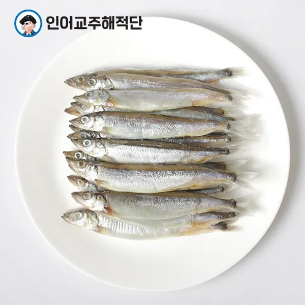 인어교주해적단 알이 꽉 찬 열빙어 시사모 시샤모구이용 550g 600g 1개 열빙어 550g 25마리/5마리씩 포장 