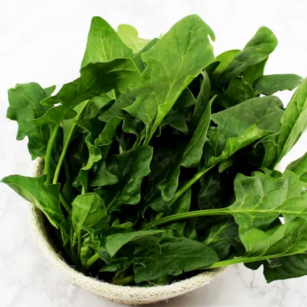 채선 시금치 풍부한 섬유질채소 국내산 500g 1kg, 1봉, 500g내외