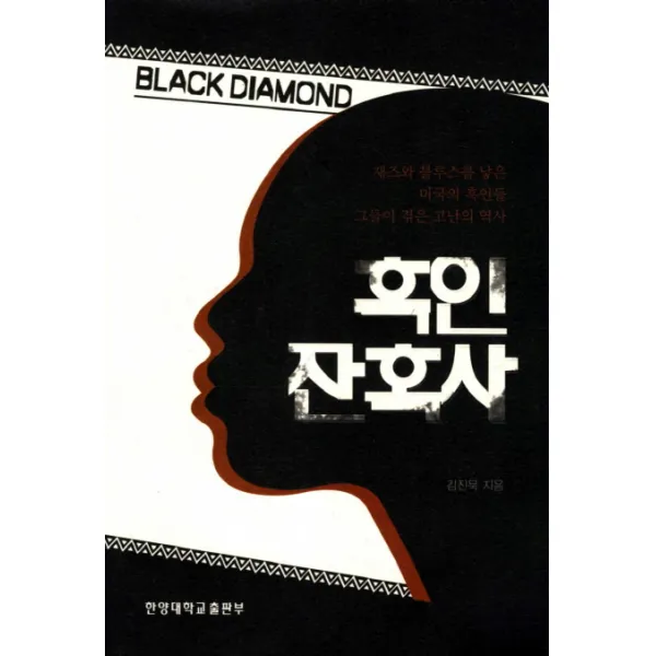 흑인 잔혹사:재즈와 블루스를 낳은 미국의 흑인들 그들이 겪은 고난의 역사, 한양대학교출판부