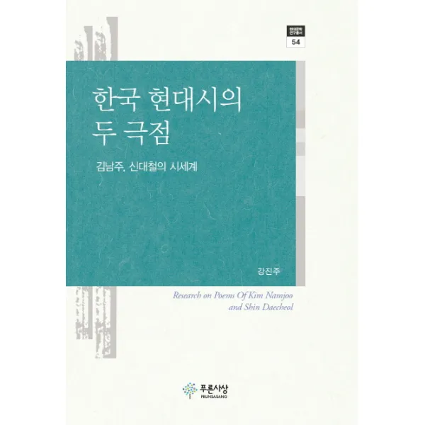 한국 현대시의 두 극점:김남주 신대철의 시세계, 푸른사상