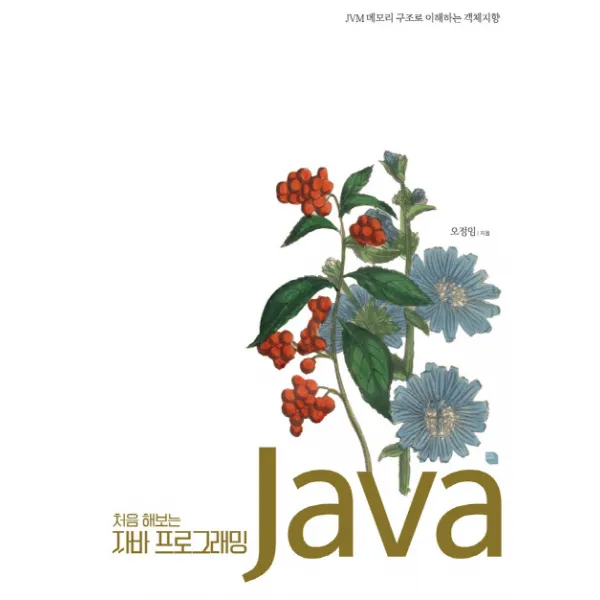 처음 해보는 자바 프로그래밍:JVM 메모리 구조로 이해하는 객체지향, 루비페이퍼