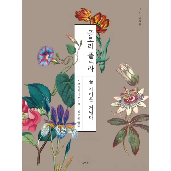 플로라 플로라:꽃 사이를 거닐다, 늦여름