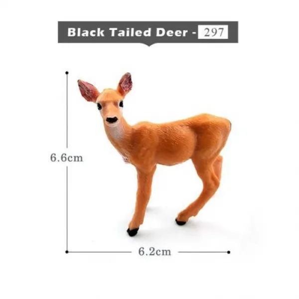 [해외] 사슴 Warthog 살쾡이, Black Tailed Deer