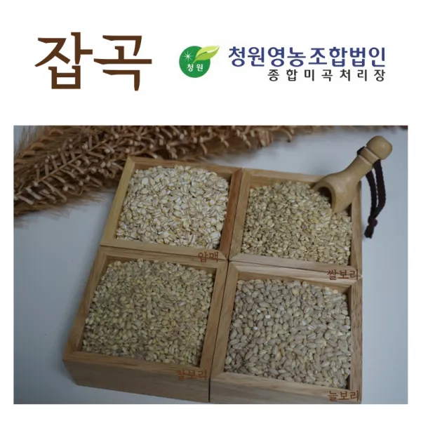 2019년산 우리잡곡 찰보리쌀 800g 2kg 4kg 1개