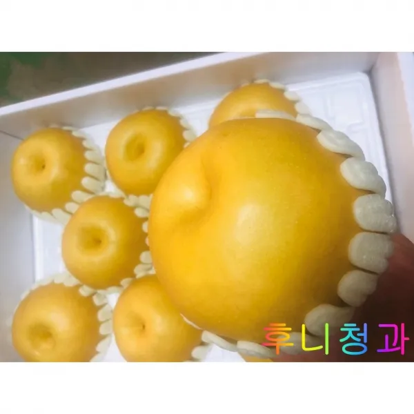 [후니청과] 명절 추석맞이 5kg 배 선물세트, 15과내