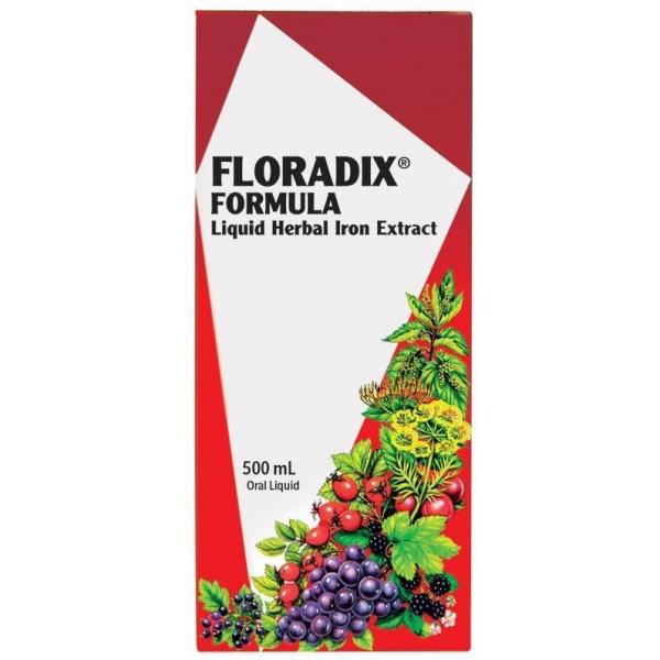 Floradix Formula 허브 철분추출물 임신 빈혈관리 활력 면역 적혈구 웰빙건강 액체500ml, 1개, 500ml