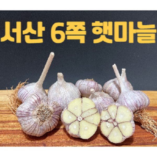 2022년재배 서산 육쪽 마늘 밭마늘 산지직송 햇마늘 한지형 6쪽 저장용(사이즈 중,대)