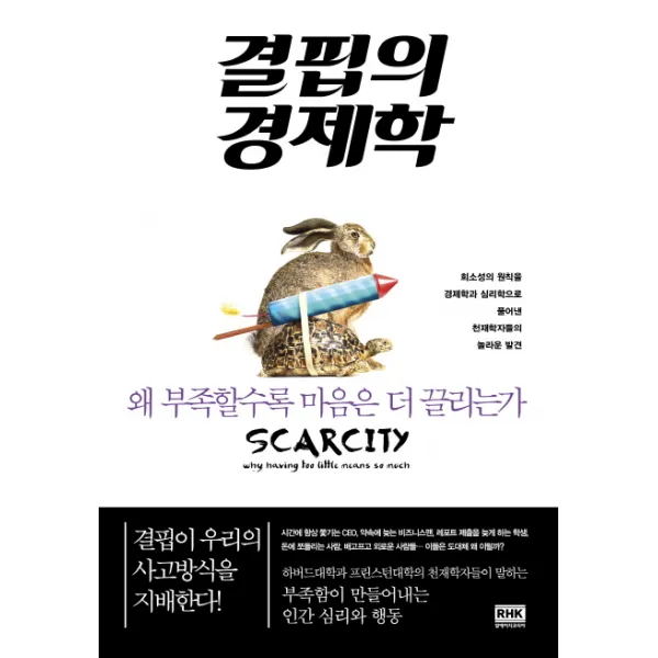 결핍의 경제학:왜 부족할수록 마음은 더 끌리는가, 알에이치코리아