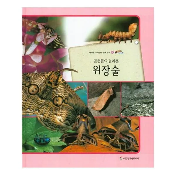 올빼미 자연관찰 06 곤충들의 놀라운 위장술 (곤충류)