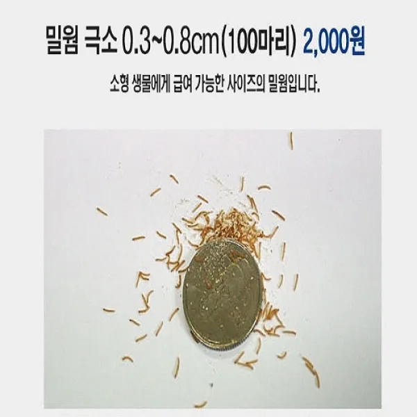 뉴런 극소밀웜150~200마리 (1cm 미만) 사료, 1개, 20g