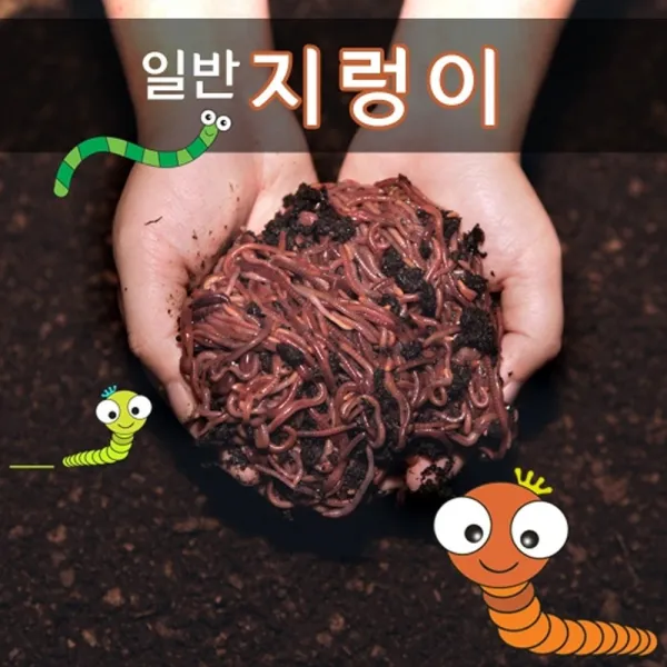 미끼나라 일반지렁이 기타미끼, 75마리, 50g