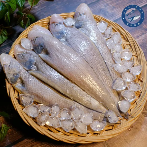 해선유통 손질서대 6마리 (마리당 30-32cm 150g내외 진공 포장) 서대 구이 반찬, 1박스