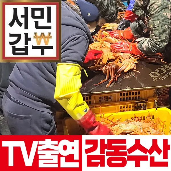 [홍게할인세일] 구룡포 홍게 3kg 5kg 자숙 산지직송 수율보장 빠른배송 선주직송 감동수산, 가성비 실속형 3kg 10마리