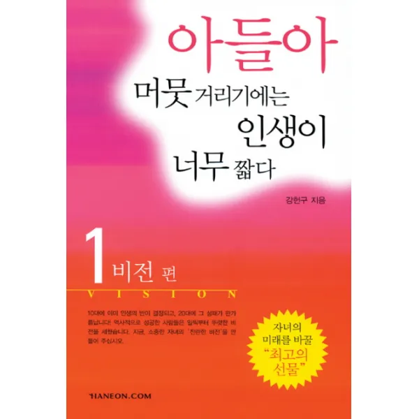 아들아 머뭇거리기에는 인생이 너무 짧다. 1: 비전(VISION)편, 한언