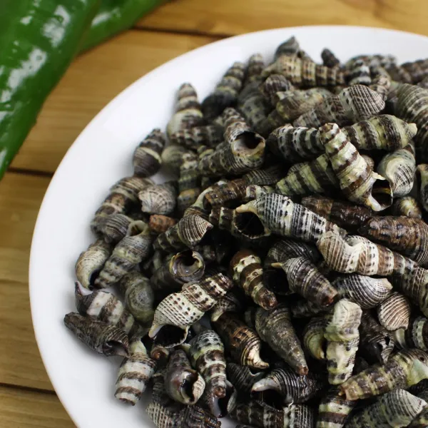 냉동 자숙 갯고동 1KG, 단일상품