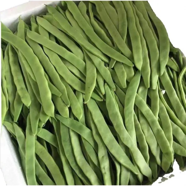 이거저거푸드 중국 당콩 동북 강낭콩 생당콩, 1kg x 1개
