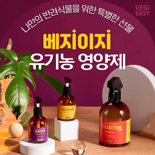 베지이지 수경재배용 식물영양제 식물 친환경 반려식물 플랜테리어, 블룸