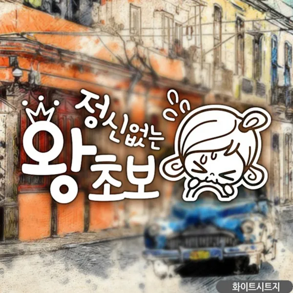 1 + 2 N21712910 인테리어소품 자동차용품 화이트 초보자동차스티커 초순이 정신없는왕초보, 단품, 단품