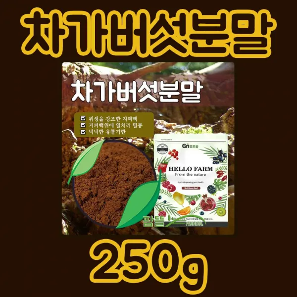 헬로팜 러시아 차가버섯분말 250g 이중지퍼백, 1봉