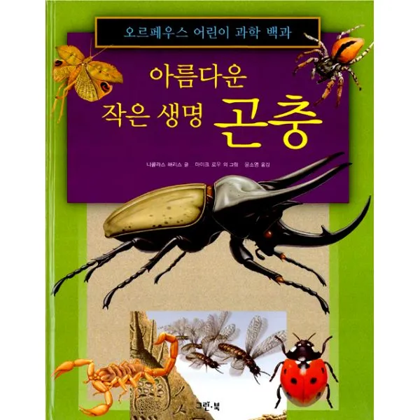 아름다운 작은 생명 곤충 : 오르페우스 어린이 과학 백과, 그린북