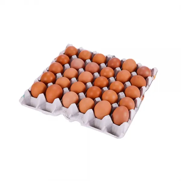  시선 무항생제 구운계란 1세트 30개 35g