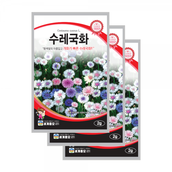 수레국화 씨앗 2g 3봉 센토레아 콘플라워 종자 cornflower knapweed seed, 3개