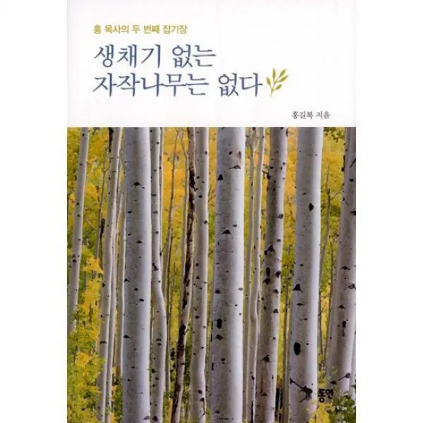생채기 없는 자작나무는 없다