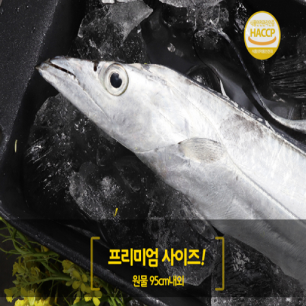 프리미엄 초고급 제주은갈치 "대" 사이즈 16토막 선물포장 추석 설 선물세트 1