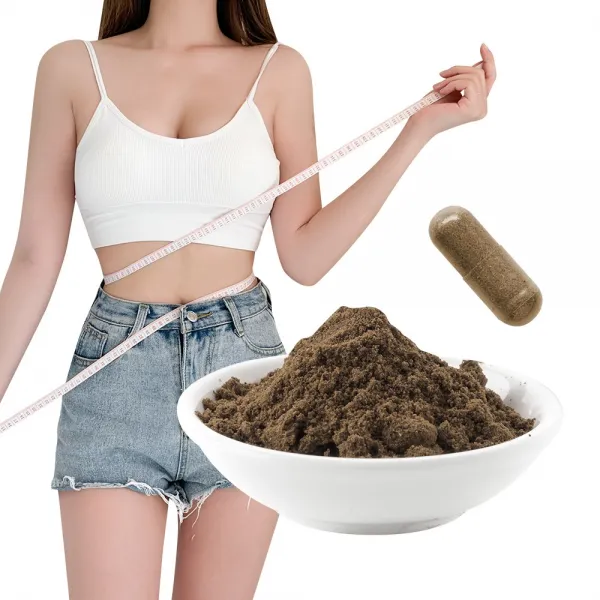 시서스 다이어트 정직한 50배 농축, 검역마친 정식통관 안전한 제품 확실한 시서스 다이어트(200g 분말), 1팩, 200g