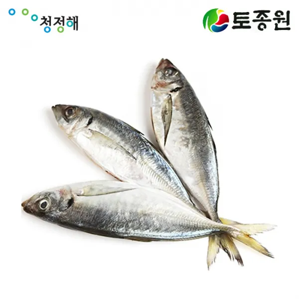 토종원 전갱이 각재기 자반 4kg 청정 제주도