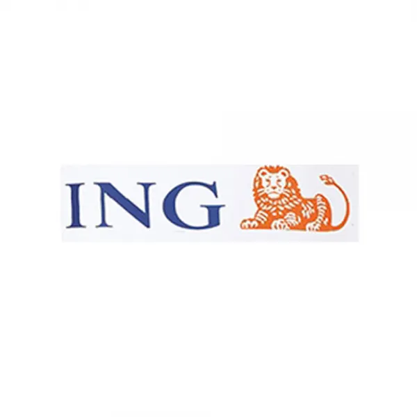 95332 ING 스폰서 실사 95332/ING/스폰서/실사