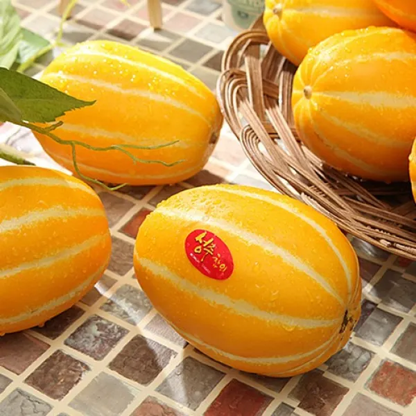 혼자먹기 참-외롭다 알뜰 성주 꿀 참외 5kg, 1box, 알뜰 참외 소과  5kg