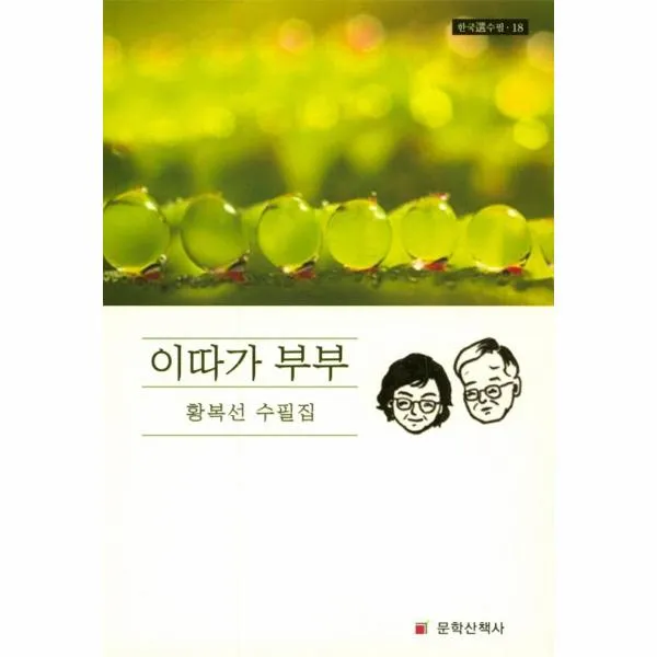 이따가부부-18(한국선수필)