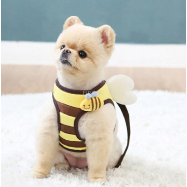 이츠독 꿀벌 하네스 옐로우