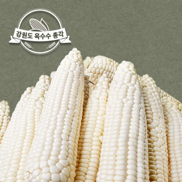 강원도옥수수총각 강원도 미백찰옥수수 특(17cm내외), 미백찰옥수수 특17cm 내외 10개입, 1box