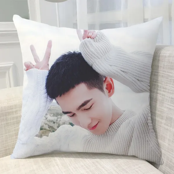 양양 베개 양면 맞춤 전업 고수 엽수 동일 쿠션 자 남녀 학 생일선물로 작은사이즈 40x40cm실크 선명한